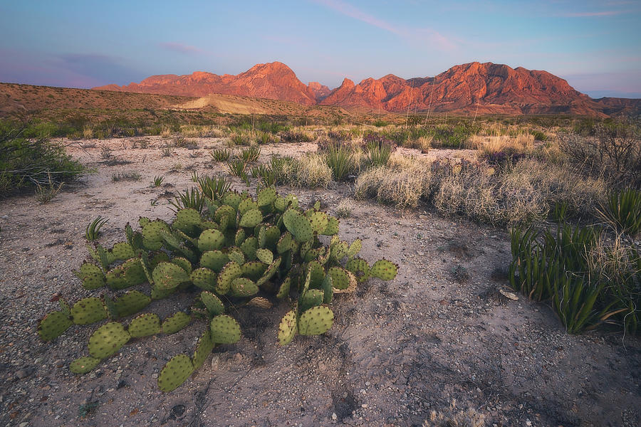 Baked Photograph by Slow Fuse Photography