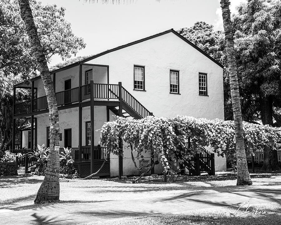 Baldwin House Grape Arbor Photograph by Charlie Osborn