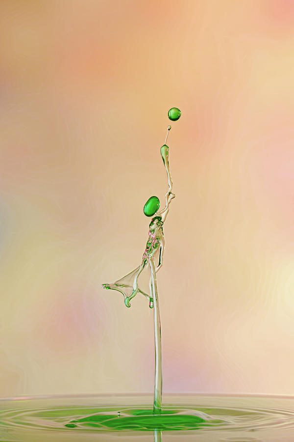 Ball in the net Photograph by Sue Leonard