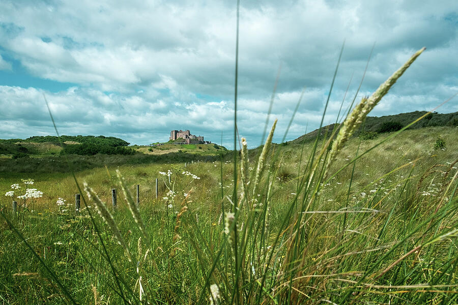 Castle Beyond the Grassy Field Photograph - Bamburgh Castle glimpsed in the distance by Seeables Visual Arts