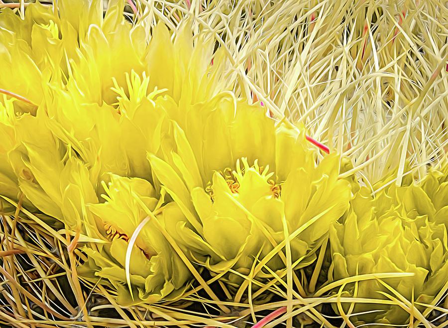 Barrel Cactus Flower Expressionist Painting Photograph by Rebecca Herranen