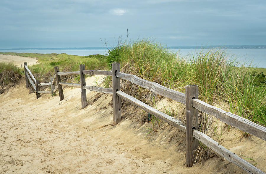 Beach Path Photograph by Dave King
