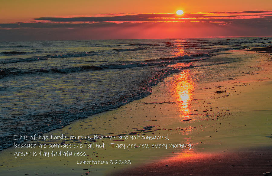 Beach Shimmer, Inspirational Photograph by Marcy Wielfaert