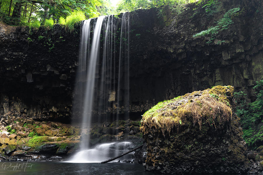 Beaver falls #2 Photograph by DeAnna Lord