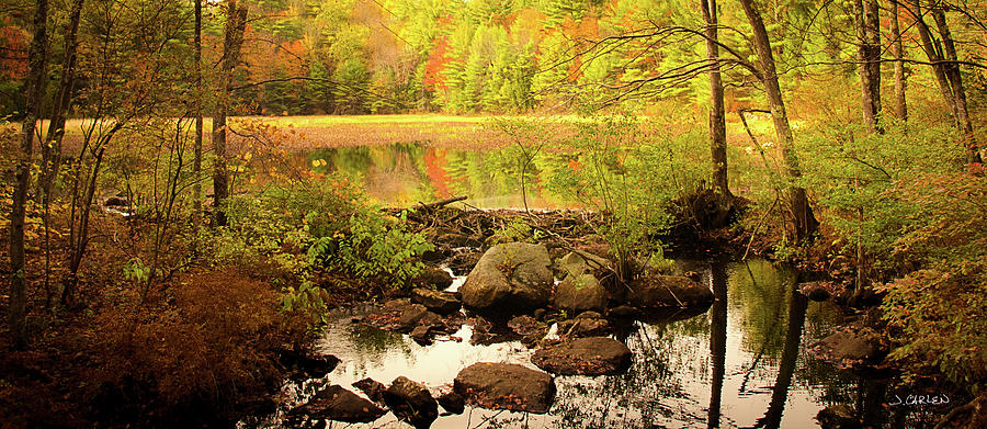Beaver Pond Photograph by Jim Carlen