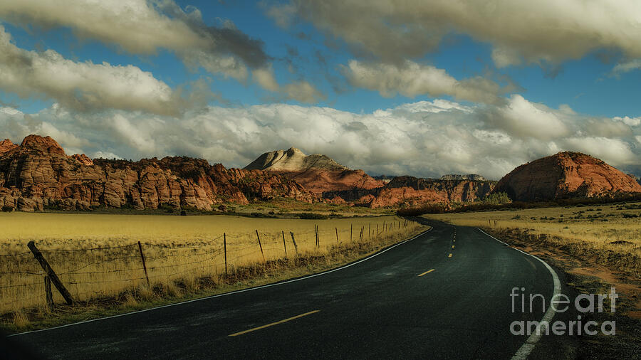 Scenic Drive Through Desert Landscape Photograph - Between Field and Firestone by Dodie Ross