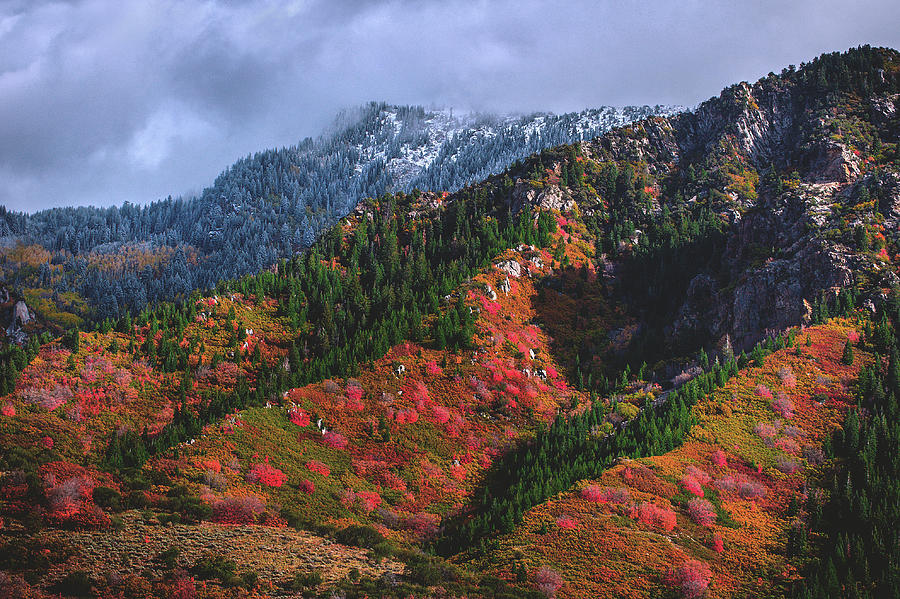 Between Seasons - Wasatch Mountains #3 Photograph by Abbie Warnock