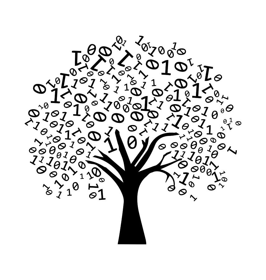 Binary Tree Computer Science Coding Programmer Digital Art by Roger Kuo ...