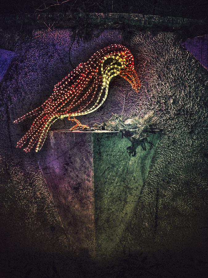 Bird and Nest at River of Lights Albuquerque Botanic Garden Photograph by Mary Lee Dereske