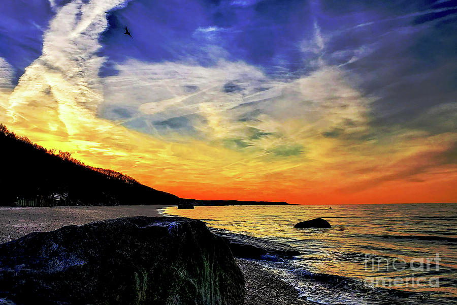 Bird of Colorful Skies Photograph by Eileen Kelly
