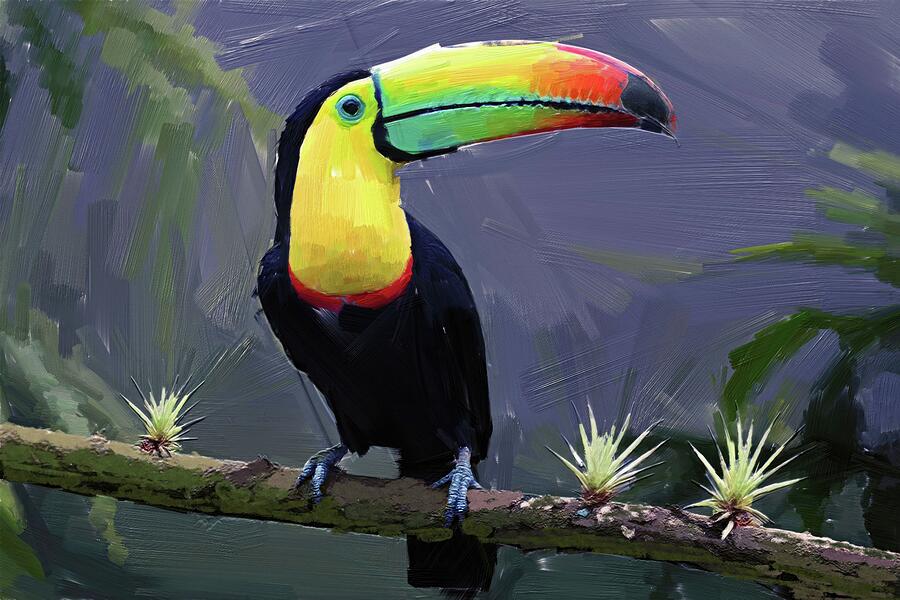 Bird painting of tropical toucan Digital Art by Nature Oil Painting