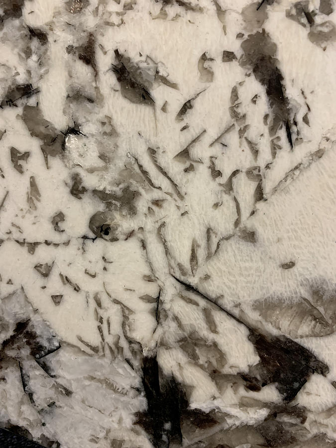 Black and White stone design Photograph by Juliette Becker