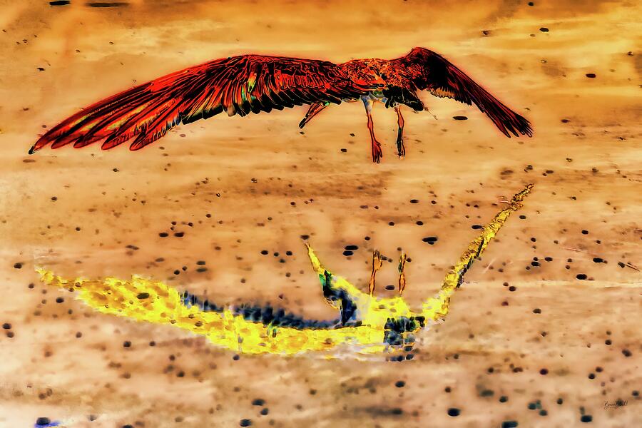 Black Skimmer Take-off Digital Art by Bruce Block