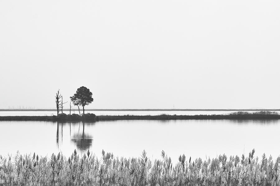 Blackwater River Reflection in Monochrome Photograph by Charles Floyd