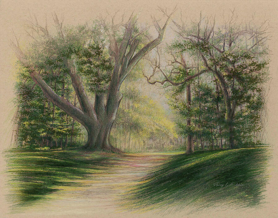 Blakely Park Alabama Drawing by Terry Edeker