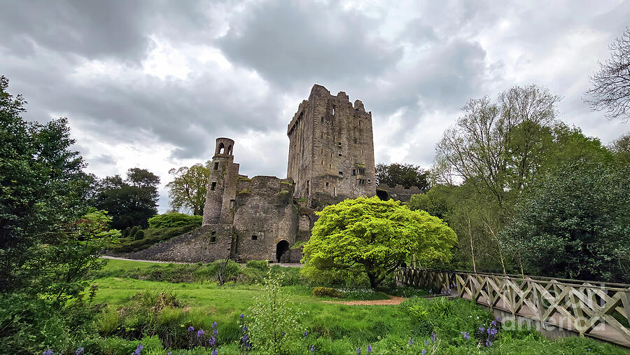 Blarney Castle - Blarney, Ireland Photograph by Jeff Saunders