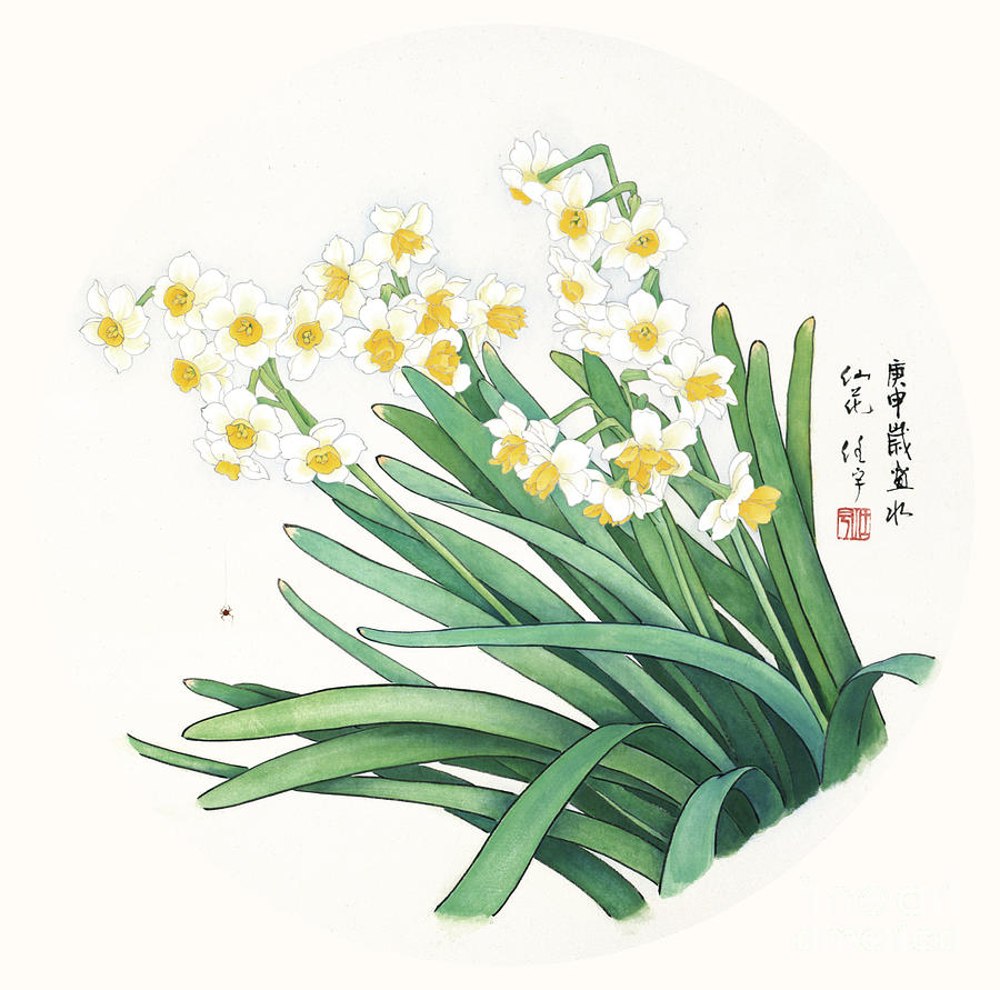 Blossoms of China - Daffodil Painting by Ren Yu