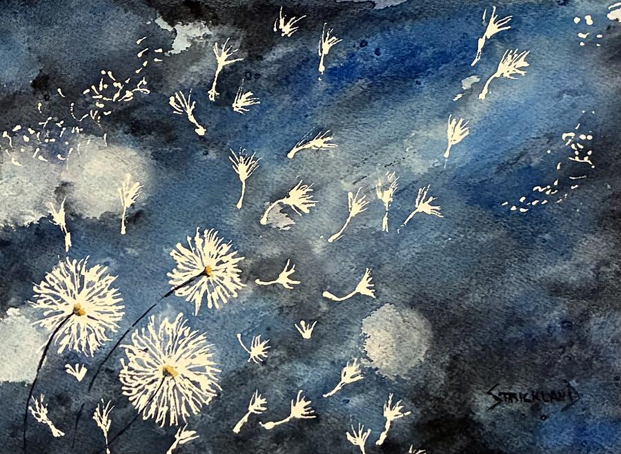 Dandelion Seeds in Watercolor Night Painting - Blowing in the Wind by Judy Strickland