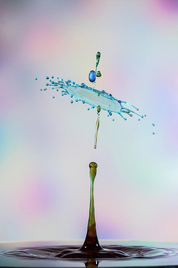 Blue Canopy Photograph by Sue Leonard