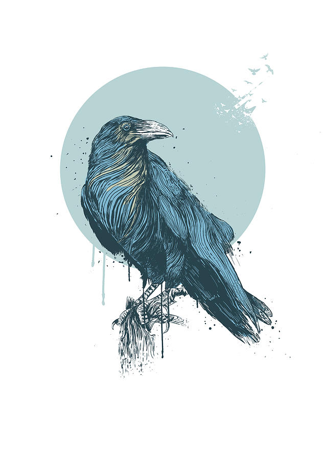 Blue crow by Balazs Solti