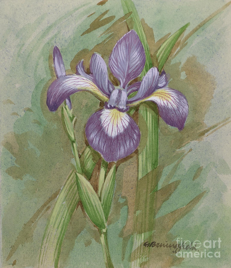 Blue Flag Painting by Gordon Beningfield