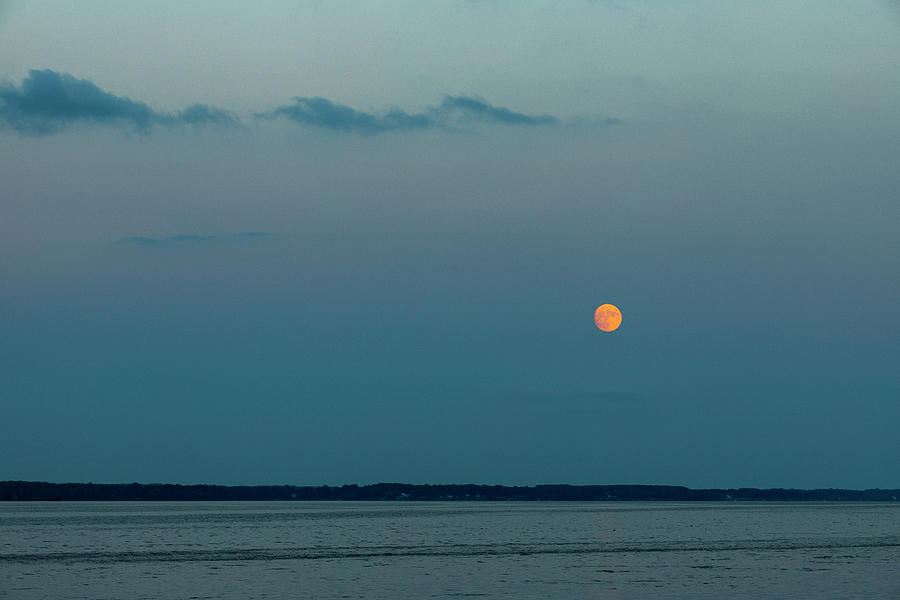 Blue Moon Rise Photograph by David Fountain
