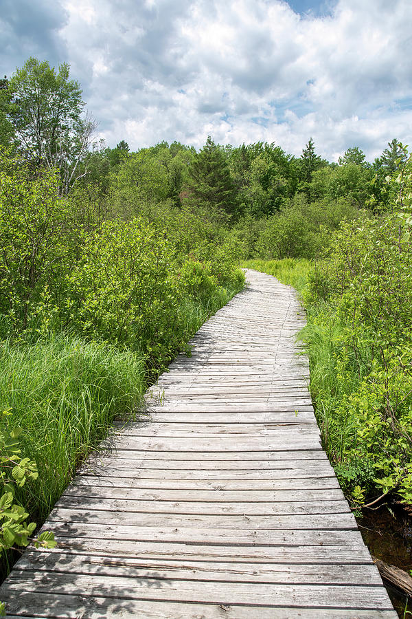 Boardwalk at Petroglyphs Provincial Park, Ontario by John Twynam