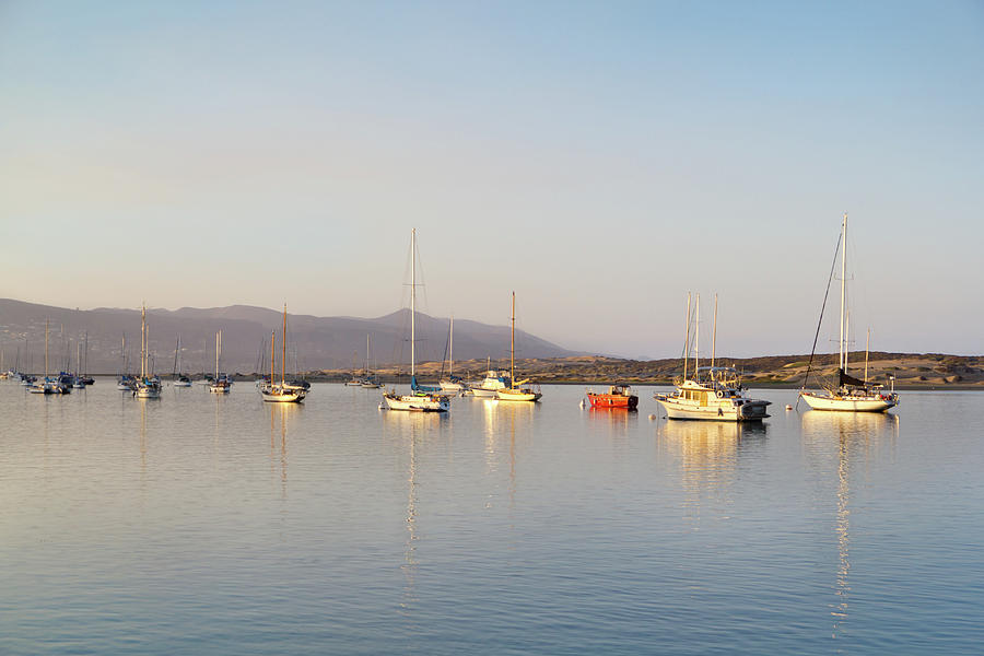 Boats in the Bay Photograph by Gina Cinardo