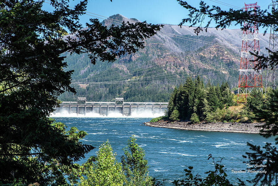 Bonneville Viewed between Trees Photograph by Tom Cochran