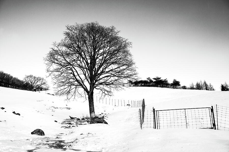 Boundless Photograph by Mia Badenhorst