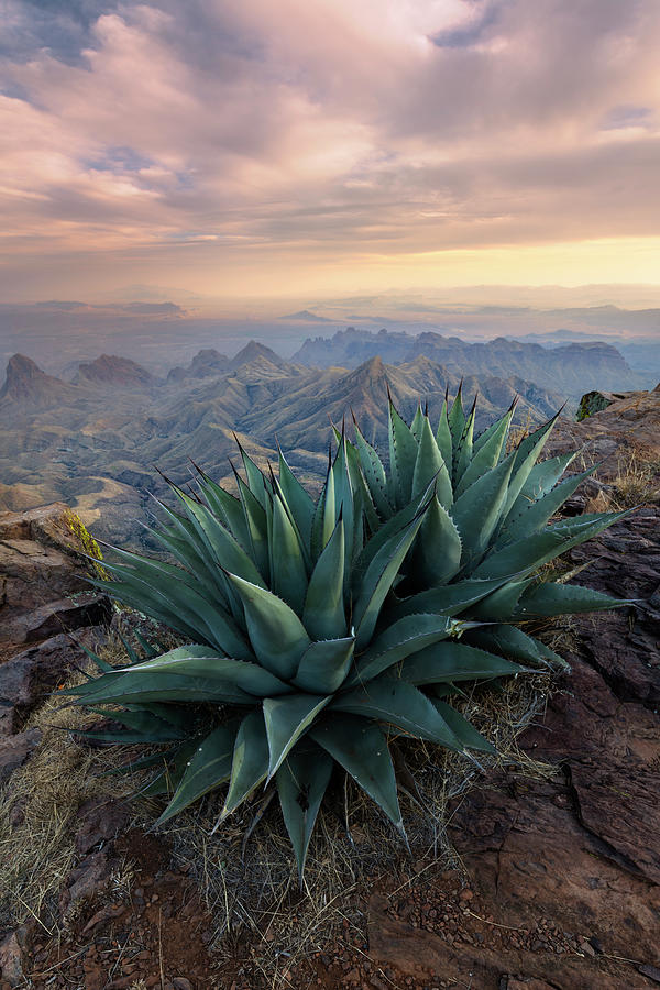 Boundless Photograph by Slow Fuse Photography