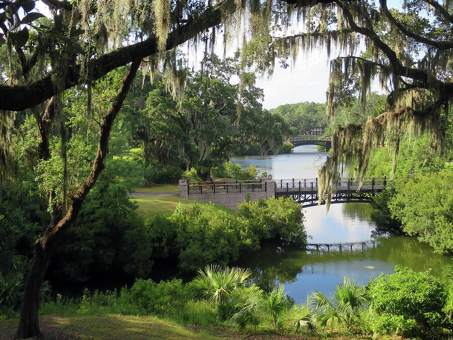 Bridges Over Tranquil Waters Photograph by Rick Locke - Out of the Corner of My Eye