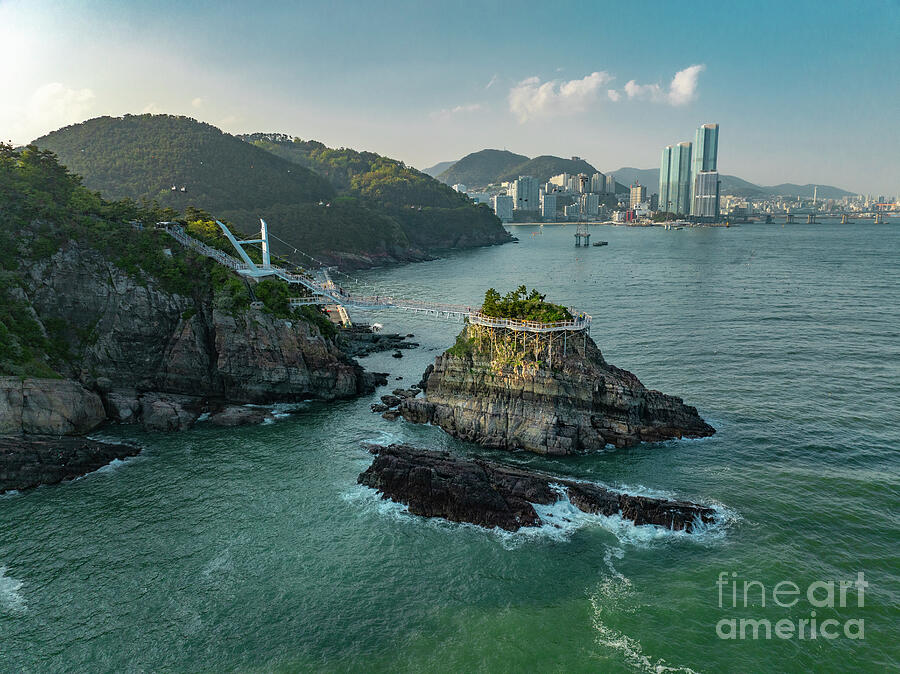 Bridging the Gap by Peng Shi