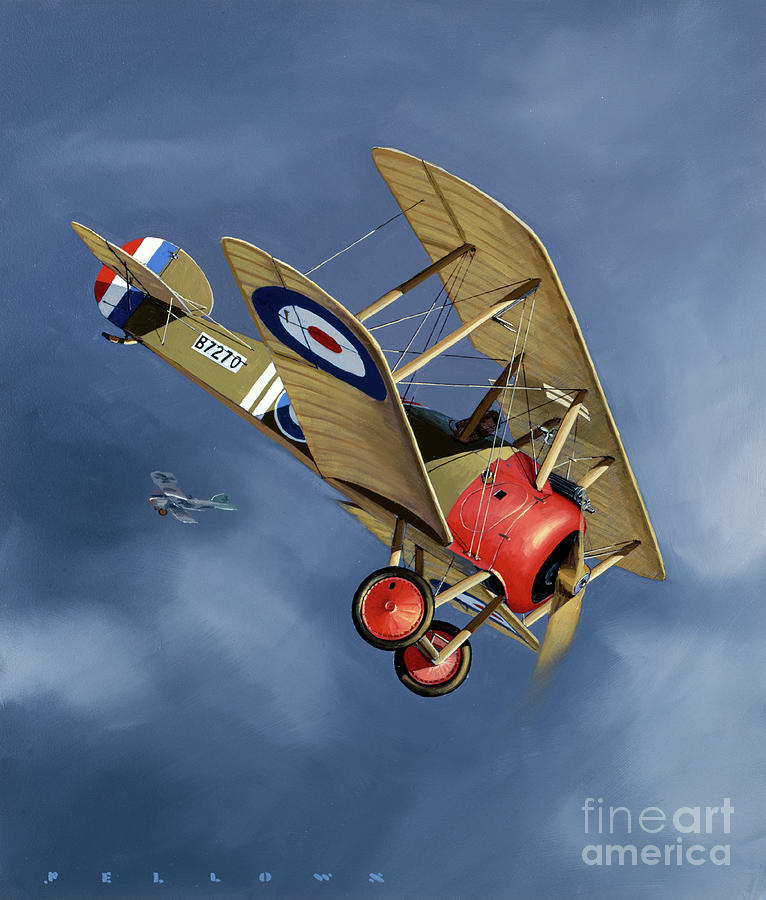 British Sopwith F.1 Camel Painting by Jack Fellows