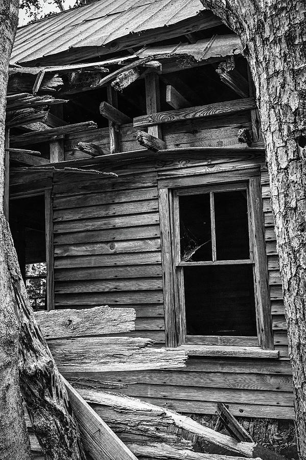Broken Window Photograph by Steven Nelson