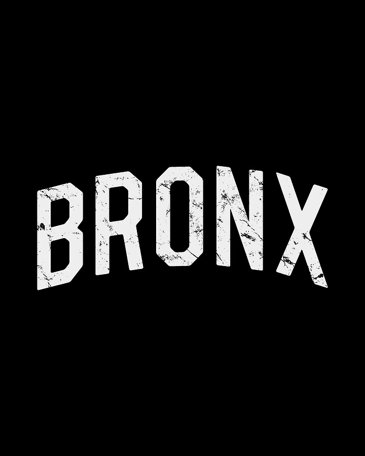 Bronx Digital Art by Flippin Sweet Gear