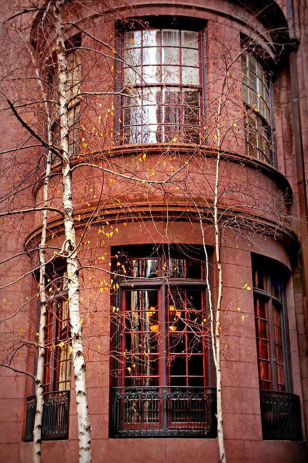 Brownstone and Birch Photograph by Jessica Jenney