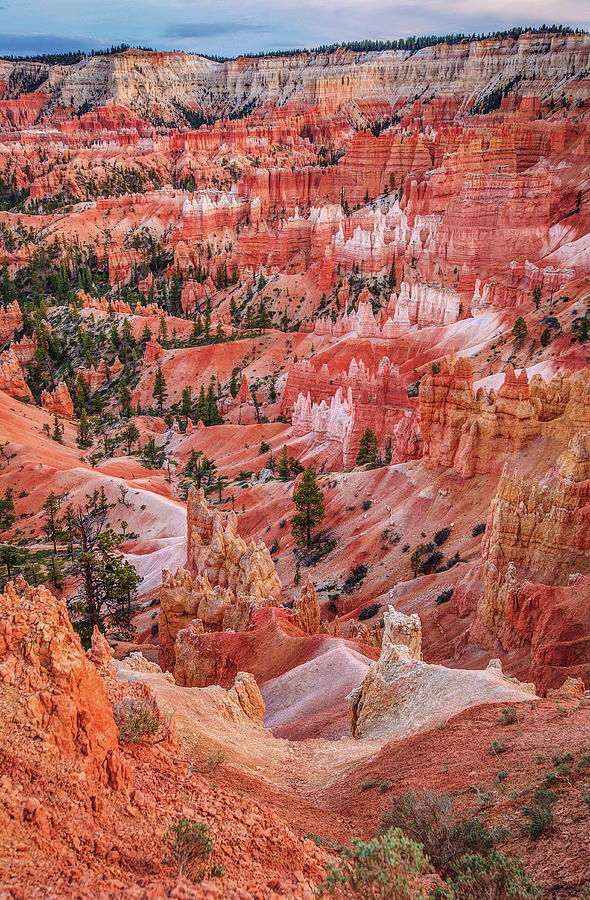 Bryce Canyon Hoodoos, Utah - Vertical Photograph by Abbie Warnock