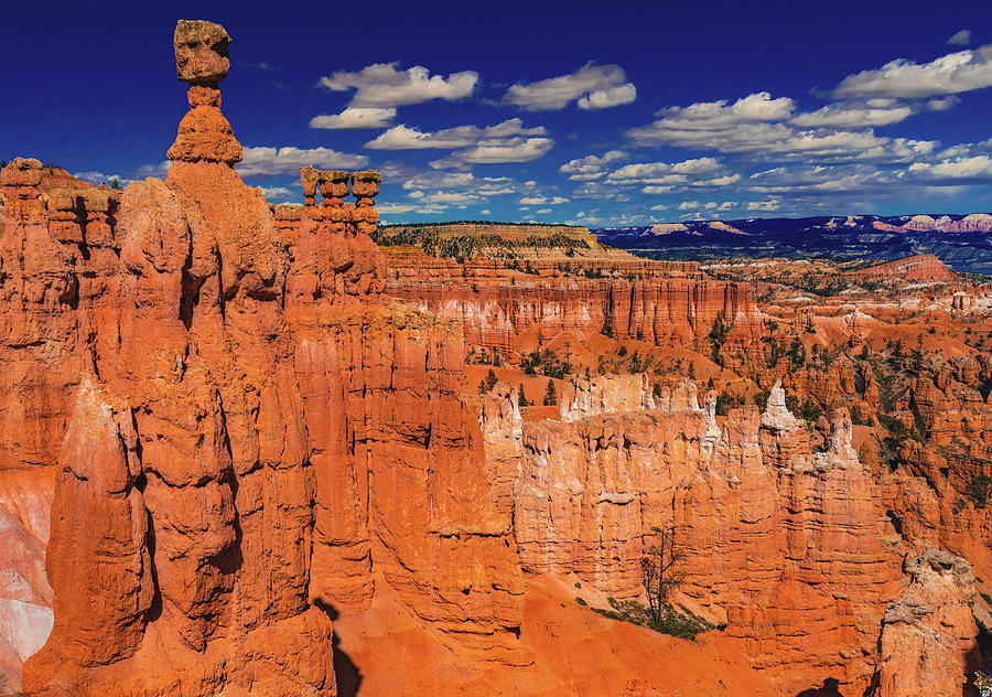 Bryce Canyon - Thors Hammer and Blue Sky, Utah Photograph by Abbie Warnock