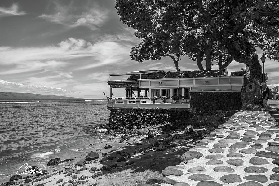 Bubba Gs Photograph by Charlie Osborn