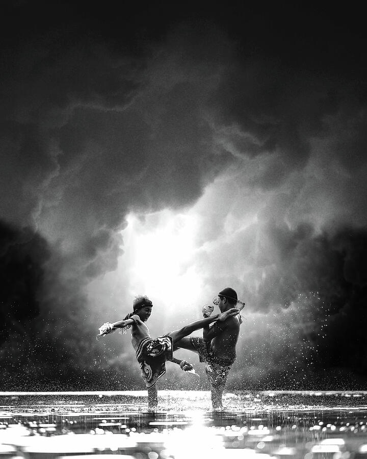 Buddies Photograph by Sofie Conte