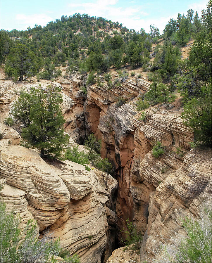Bull Valley Gorge Photograph by Joe Schofield
