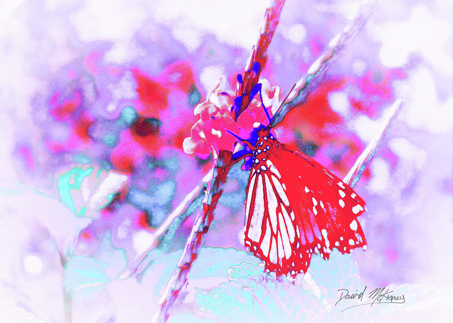 Butterfly Digital Art by David McKinney