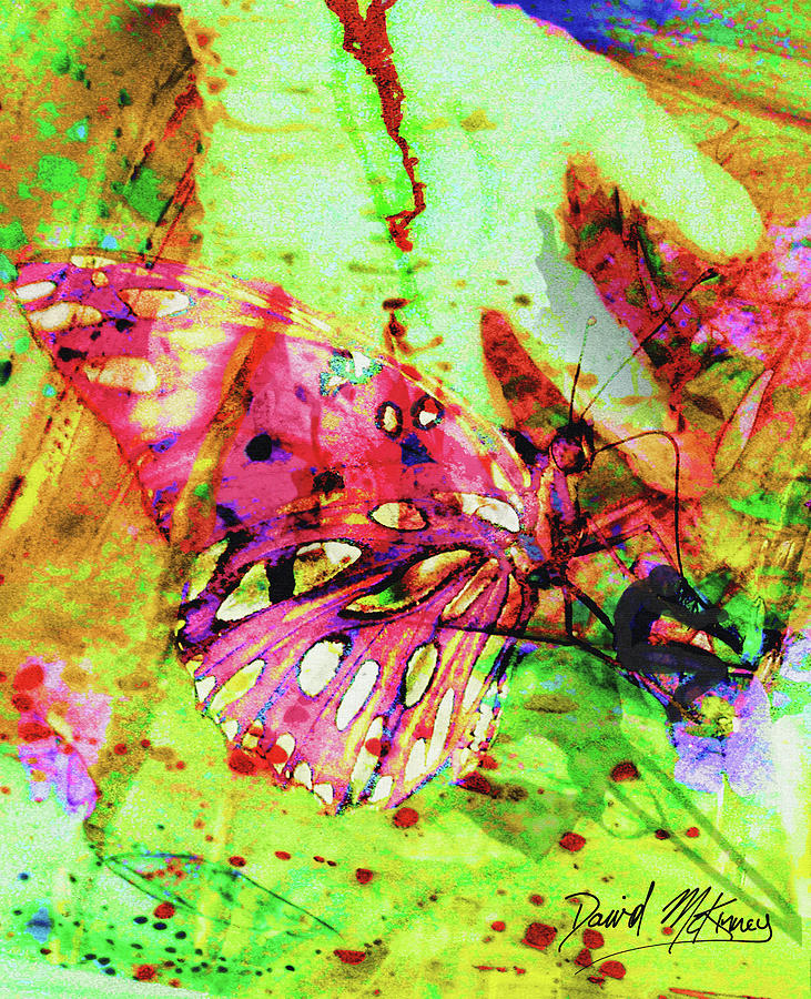 Butterfly Musician Digital Art by David McKinney