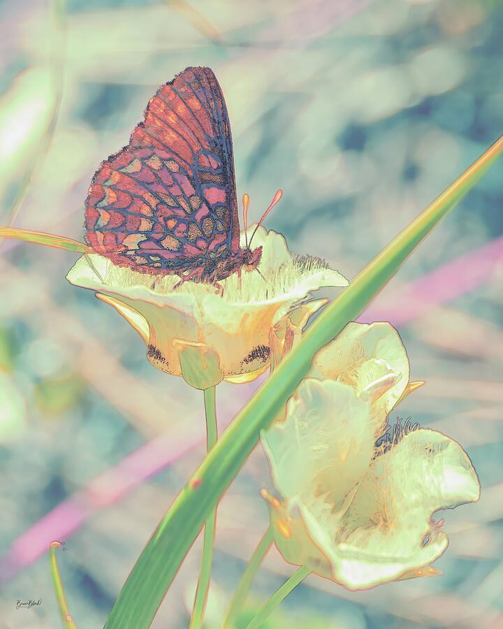 Butterfly Resting on a Flower Digital Art - Butterfly Resting on a Flower by Bruce Block
