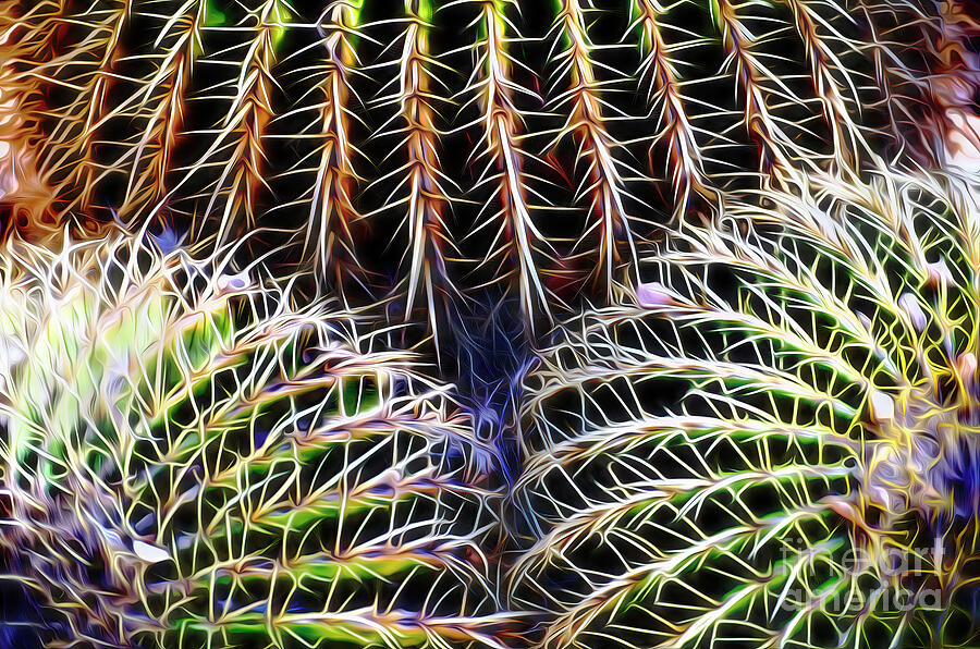 Cacti Digital Paint Digital Art by William Gunn