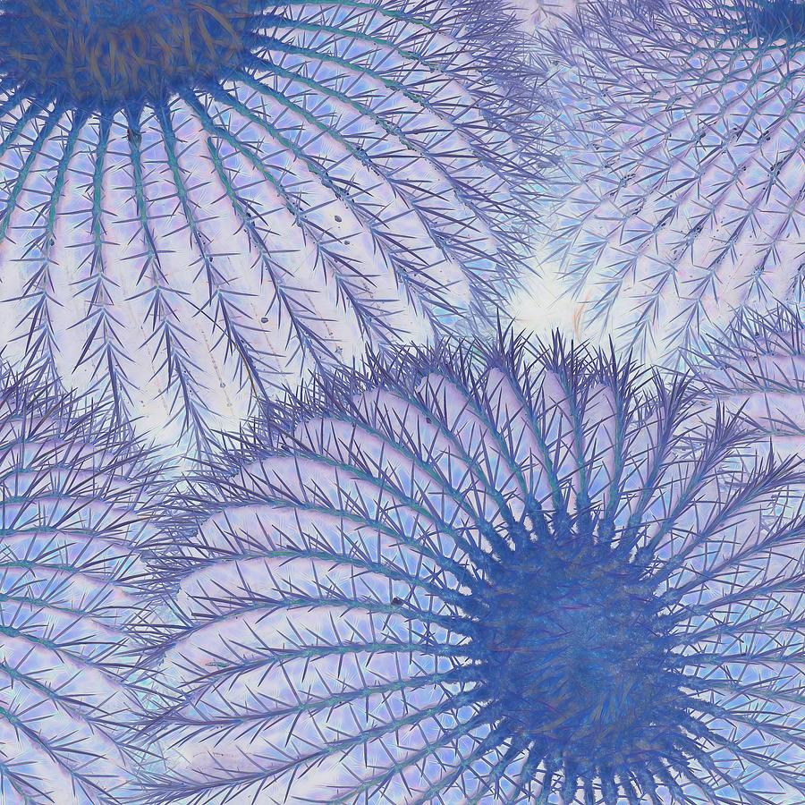 Cactus Fusion Digital Art by Rebecca Herranen
