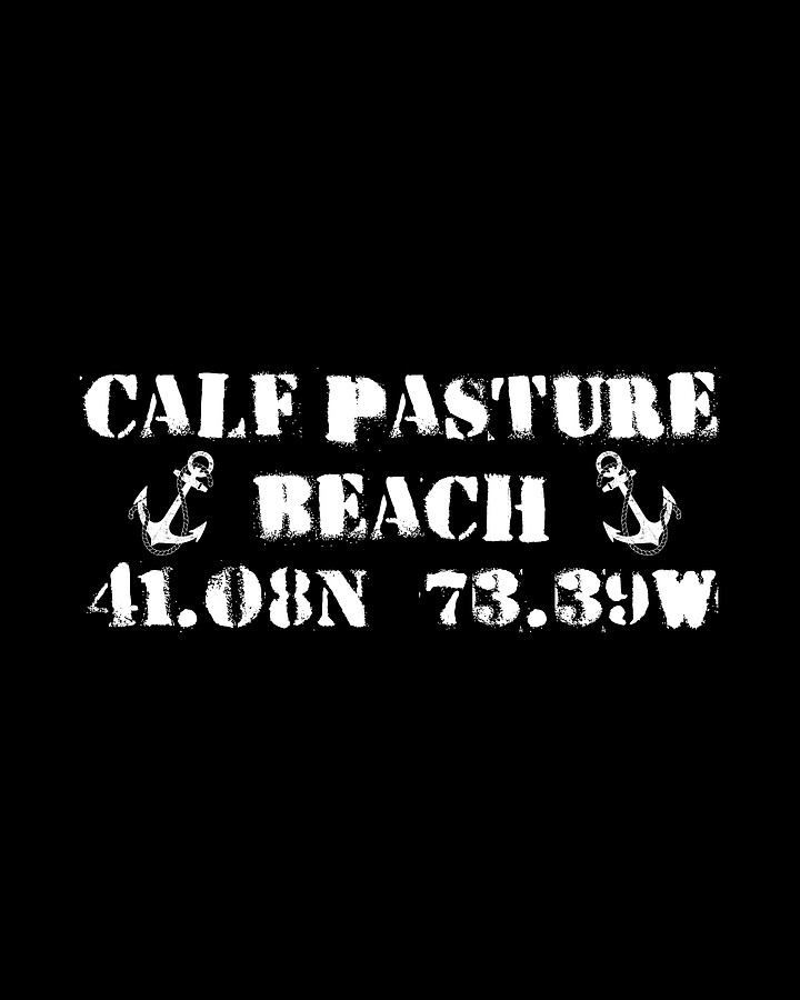 Calf Pasture Beach Norwalk Digital Art by Flippin Sweet Gear