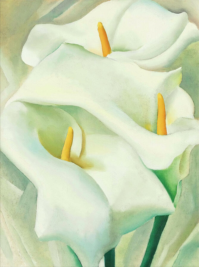 Calla Lilies by Georgia O'Keeffe Painting - Calla lilies - Modernist flower painting by Georgia OKeeffe by Georgia OKeeffe