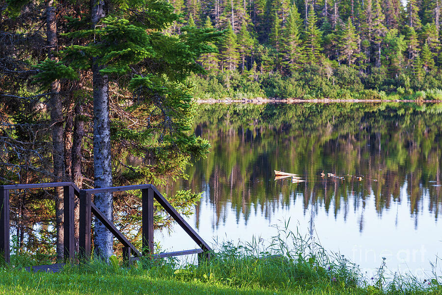 Calm Water Reflections at Tuckamore Lake, Newfoundland Photograph by Tatiana Travelways